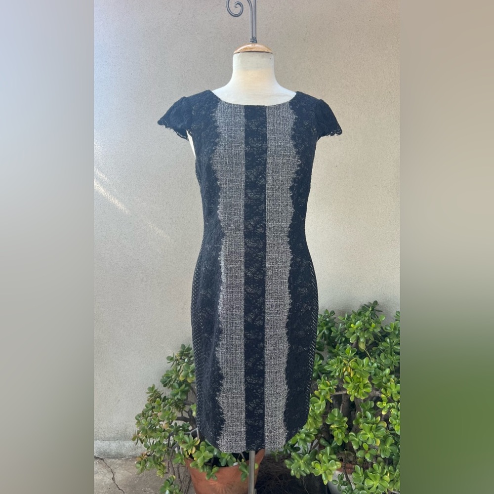 Betsey Johnson A-line dress black grey lace Sz 6